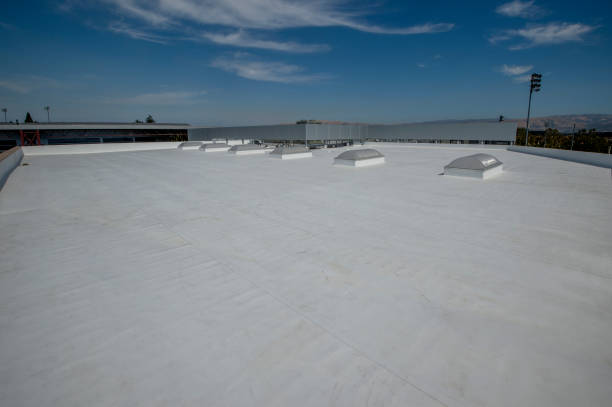 Best Flat Roofing  in Holtsville, NY