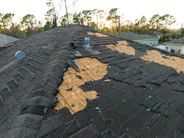 Best Storm Damage Roof Repair  in Holtsville, NY