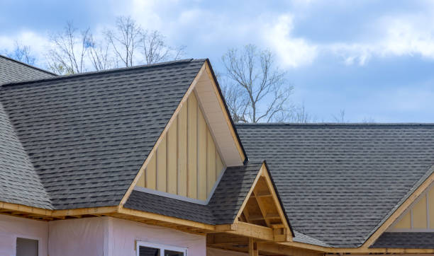 Best Gutter Installation and Repair  in Holtsville, NY