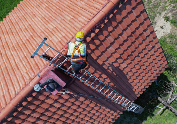 Best Skylight Installation and Repair  in Holtsville, NY