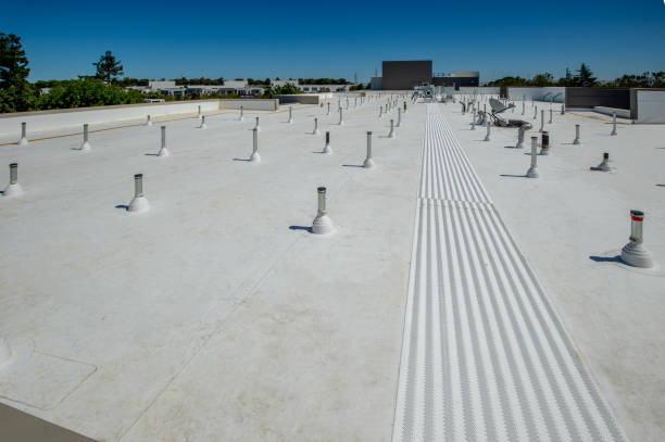 Best Roof Ventilation Installation  in Holtsville, NY